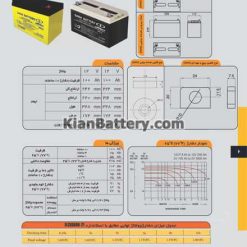 100 ah 247x247 انواع باتری یو پی اس قابل استفاده در ups و انتخاب بهترین