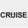 Cruise Indicator Light