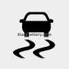 Electronic Stability Control ESC Indicator Light