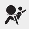 Supplemental Restraint System Warning Light