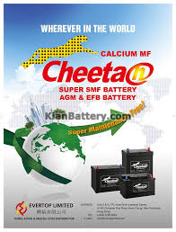 bmjn باتری چیتا Cheetah محصول کارخانه گلوبال