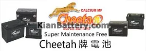 باتری چیتا Cheetah محصول کارخانه گلوبال 3 کیفیت باتری چیتا