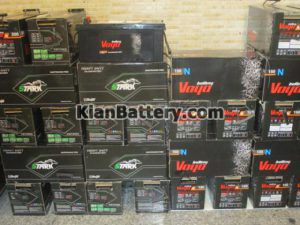 vaya44 300x225 باطری برند وایا Vaya Battery