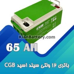 CGB ups battery 65 247x247 باتری یو پی اس CGB  سی جی بی