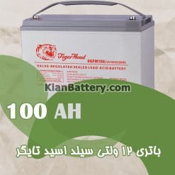 باتری 100 آمپر ساعت یو پی اس تایگر