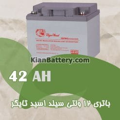 باتری 42 آمپر ساعت یو پی اس تایگر