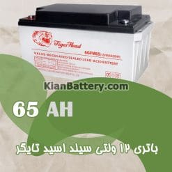 باتری 65 آمپر ساعت یو پی اس تایگر