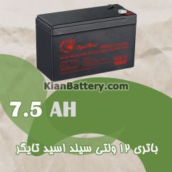 tiger ups battery 12V 7.5AH 247x247 باتری یو پی اس تایگر کره جنوبی
