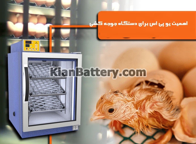 egg incubator راهنمای خرید یو پی اس برای دستگاه جوجه کشی