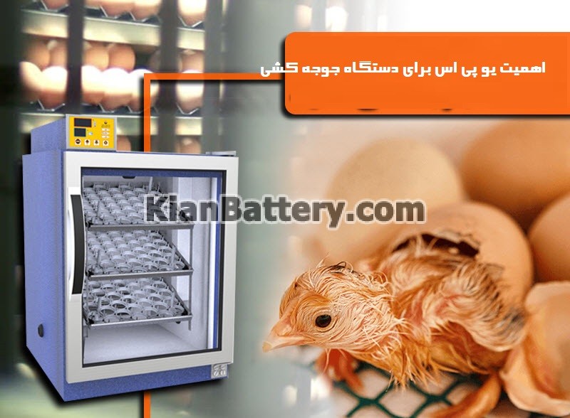 راهنمای خرید یو پی اس برای دستگاه جوجه کشی