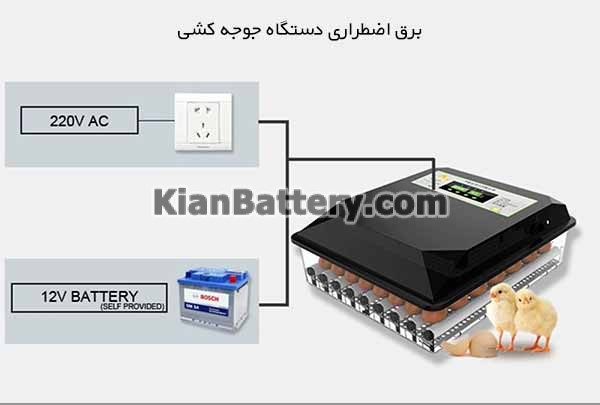 برق دستگاه جوجه کشی