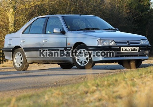 classic peugeot 405