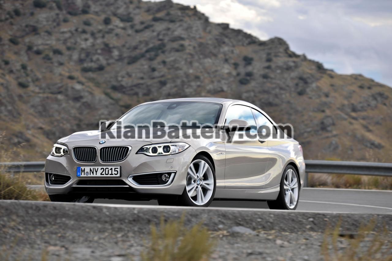 2014 BMW 2 Series Coupe