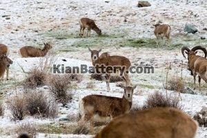 جاهای دیدنی لواسان 1 300x200 امداد باتری لواسان و حومه