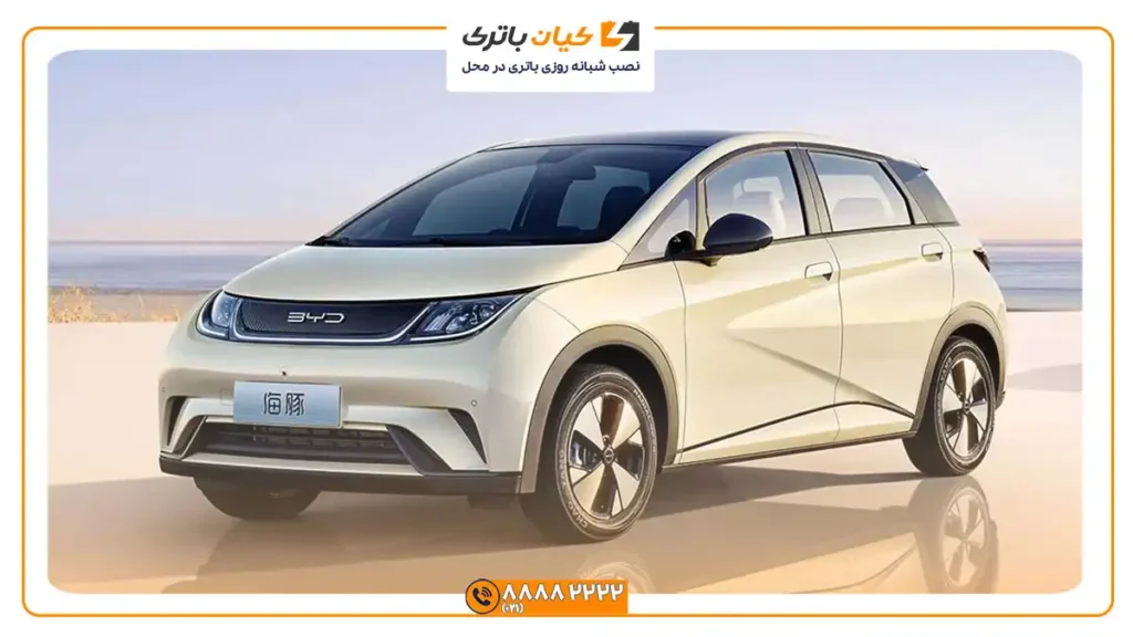 بی وای دی دلفین