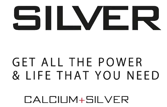 SILVER BATTERY
